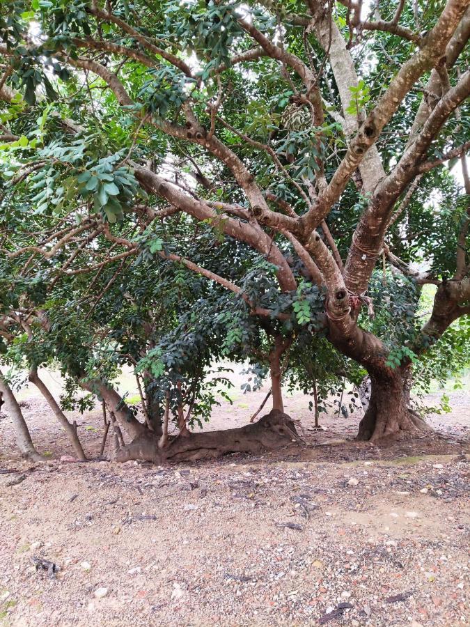 La Rueda Apartamentos Rurales Chulilla Dış mekan fotoğraf